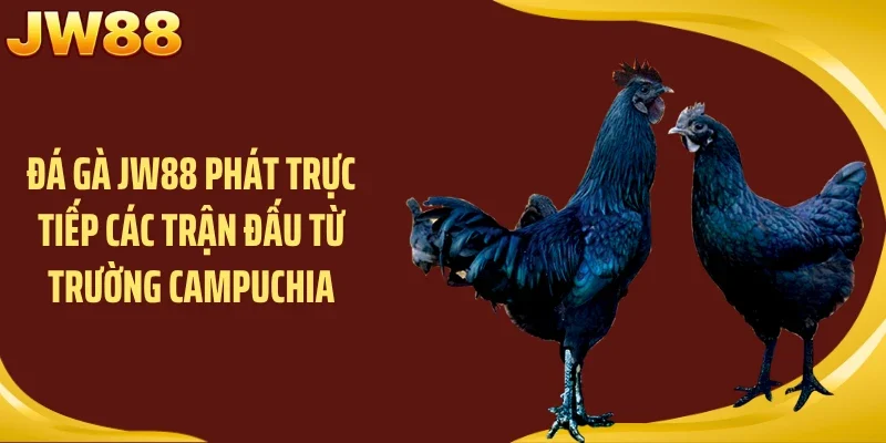 Đá gà JW88 phát trực tiếp các trận đấu từ trường Campuchia