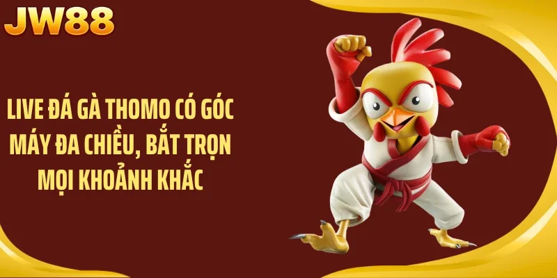 Live đá gà thomo có góc máy đa chiều, bắt trọn mọi khoảnh khắc