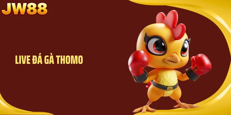 Live Đá Gà Thomo Kịch Tính Cao Trào Từng Phút Tại JW88