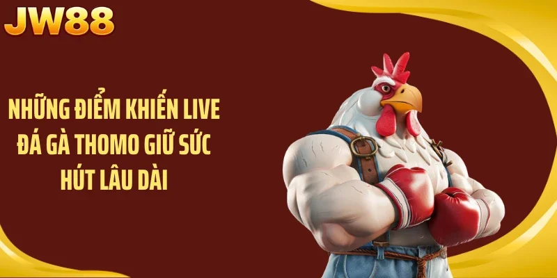 Những điểm khiến live đá gà thomo giữ sức hút lâu dài
