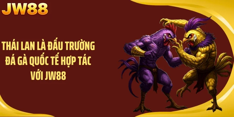 Thái Lan là đấu trường đá gà quốc tế hợp tác với JW88