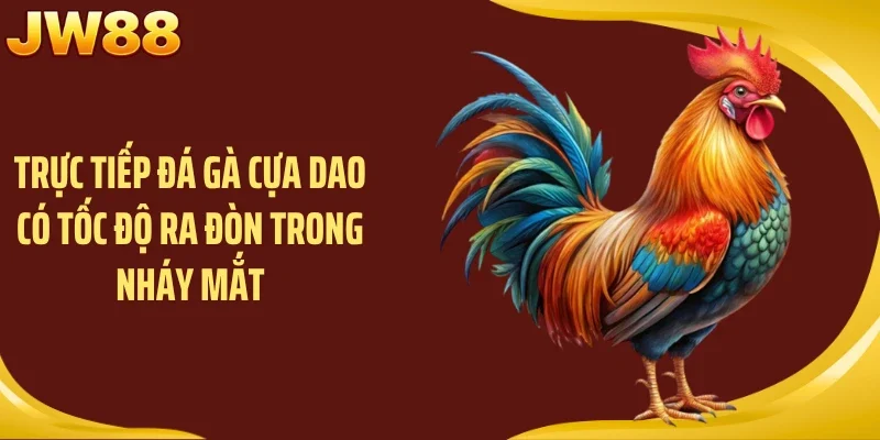 Trực tiếp đá gà cựa dao có tốc độ ra đòn trong nháy mắt