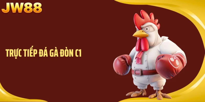 Trực Tiếp Đá Gà Đòn C1 JW88 - Căng Thẳng Qua Từng Hồ Đấu